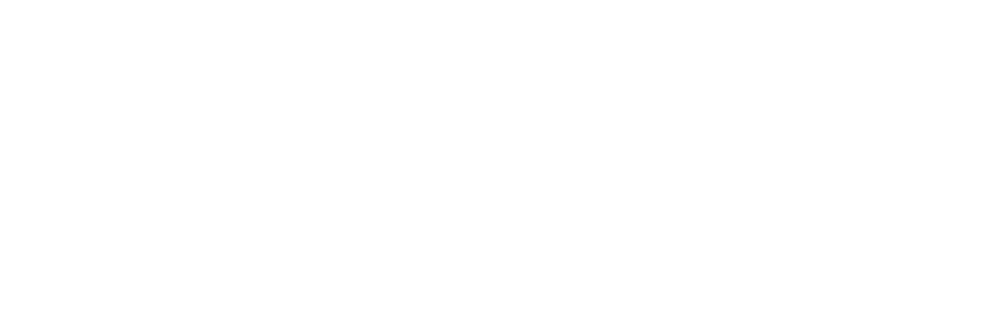 Diagnoly_Logo_white (2)